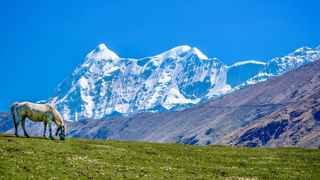 Ali Bedni Bugyal Trek
