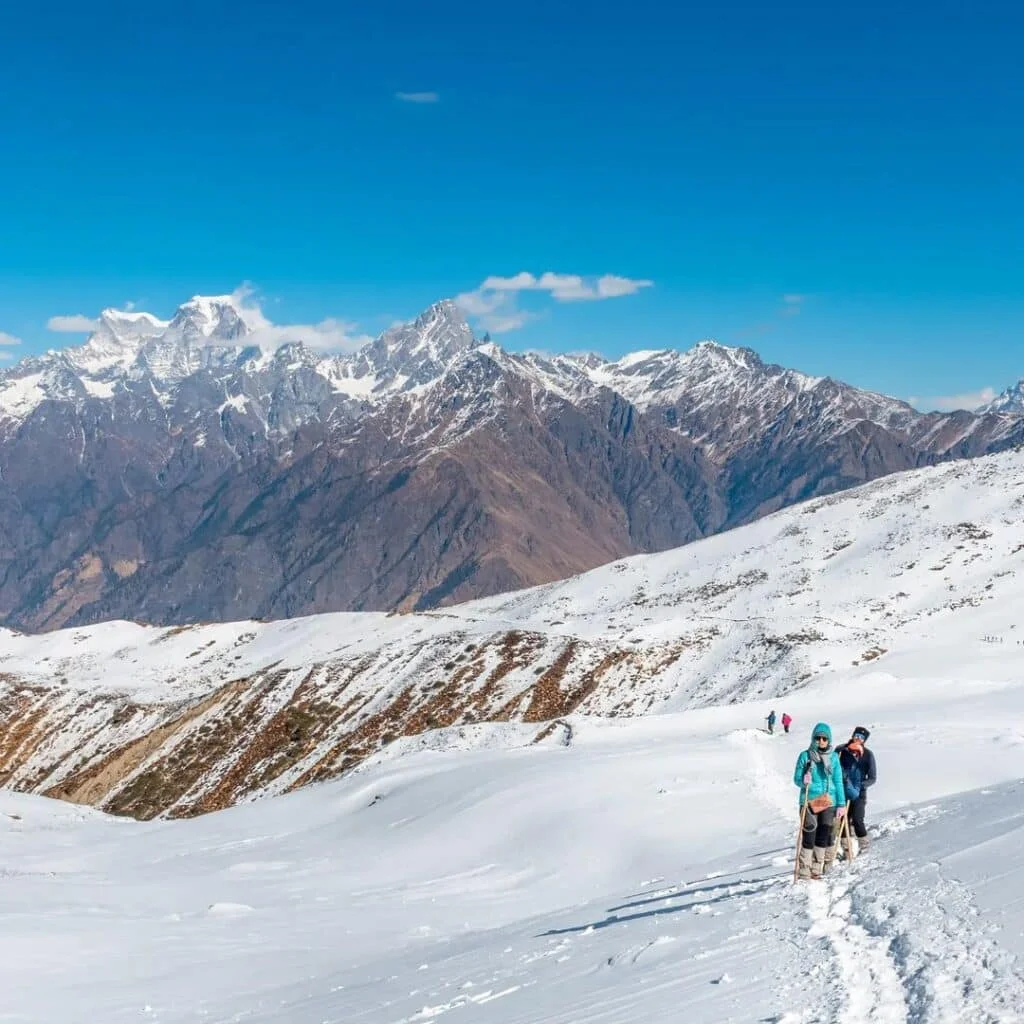 Kuari Pass Trek – Lord Curzon Trail in the Heart of Uttarakhand