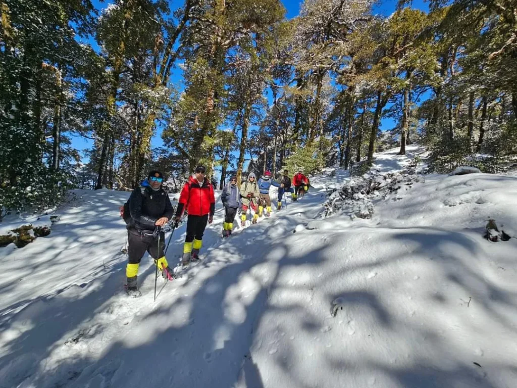 Sar Pass Trek: Complete Guide for 2025