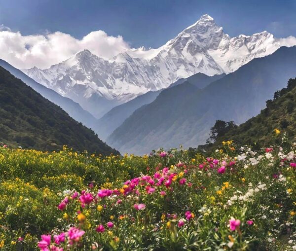 Best Time to Visit Valley of Flowers – Guide to the UNESCO Heritage Site in Uttarakhand
