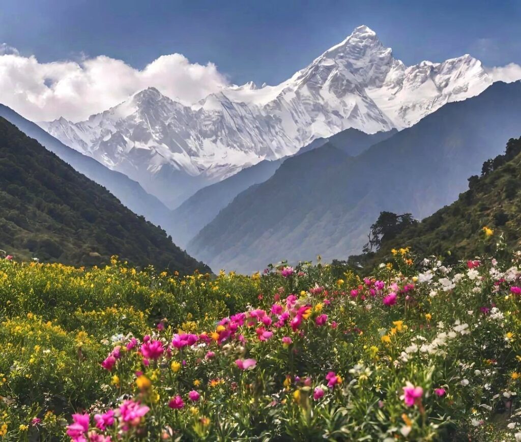 Best Time to Visit Valley of Flowers – Complete Travel Guide for 2025