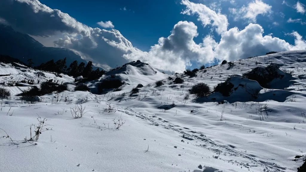 Dayara Bugyal Trek: A Stunning Alpine Meadow Journey