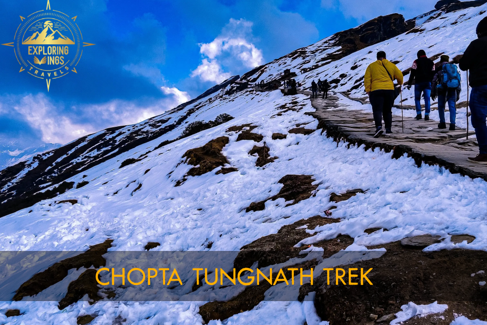 chopta tungnath trek