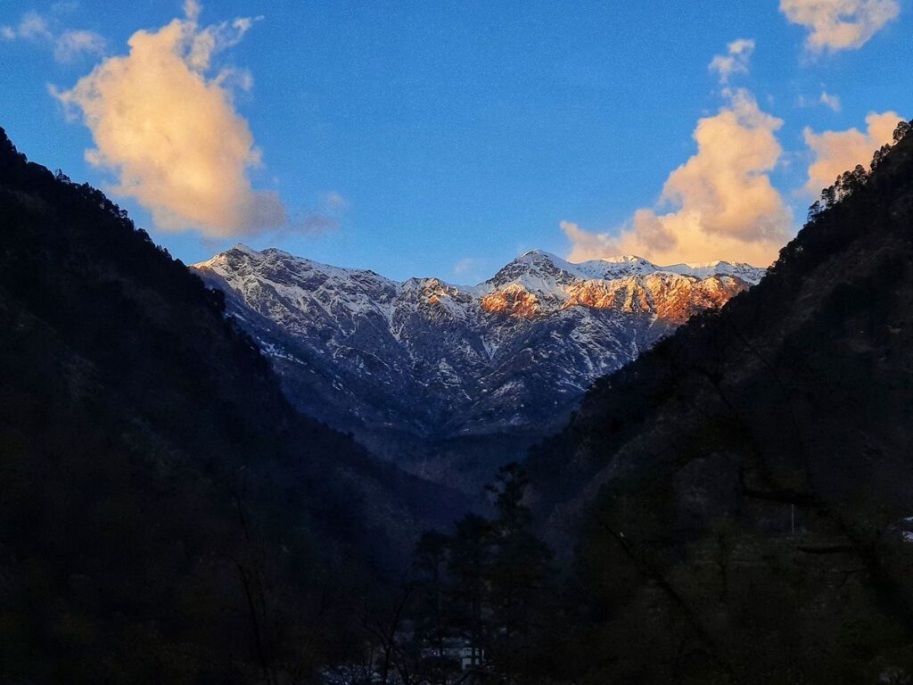 Mukta Top