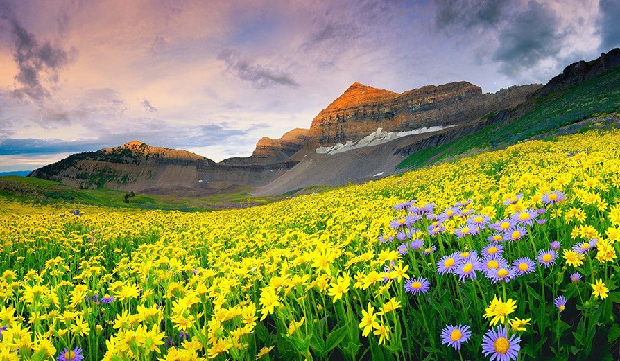 Dehradun to Valley of Flowers Trek 2025